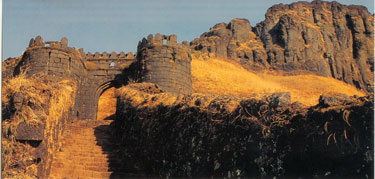 Pali gate Rajgarh Fort