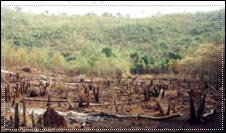 Bharmragarh Sanctuaries